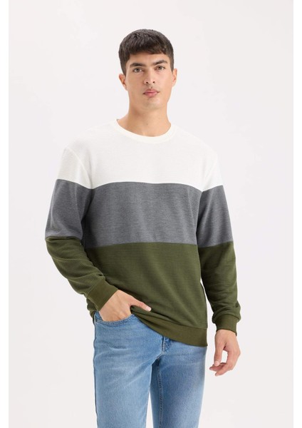 Regular Fit Bisiklet Yaka Renk Bloklu Jakarlı Sweatshirt D5393AX24AU