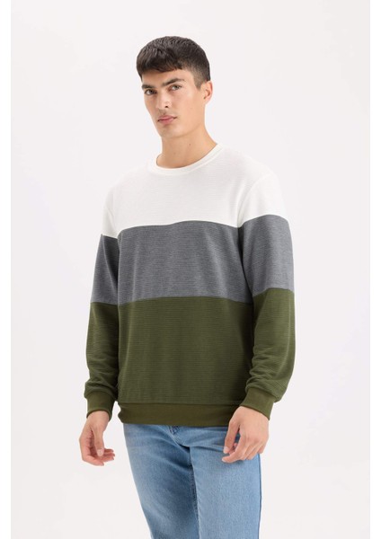 Regular Fit Bisiklet Yaka Renk Bloklu Jakarlı Sweatshirt D5393AX24AU