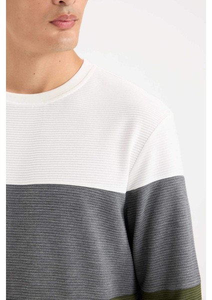 Regular Fit Bisiklet Yaka Renk Bloklu Jakarlı Sweatshirt D5393AX24AU