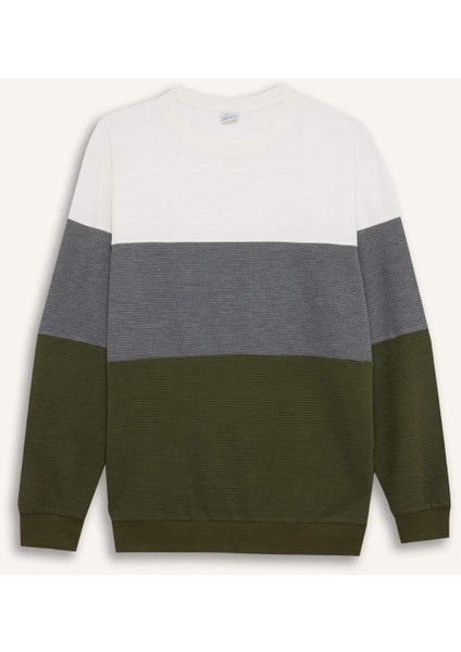 Regular Fit Bisiklet Yaka Renk Bloklu Jakarlı Sweatshirt D5393AX24AU