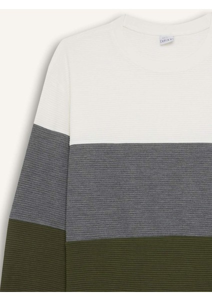 Regular Fit Bisiklet Yaka Renk Bloklu Jakarlı Sweatshirt D5393AX24AU