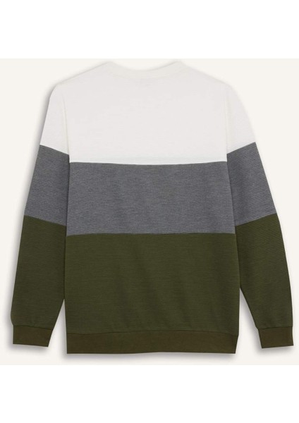 Regular Fit Bisiklet Yaka Renk Bloklu Jakarlı Sweatshirt D5393AX24AU