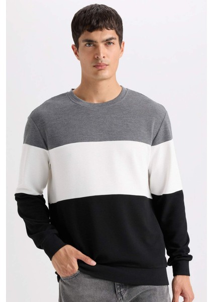 Regular Fit Bisiklet Yaka Jakarlı Sweatshirt D5393AX24AU
