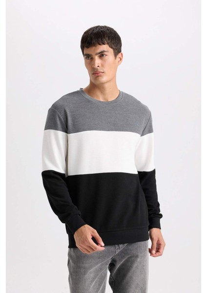 Regular Fit Bisiklet Yaka Jakarlı Sweatshirt D5393AX24AU