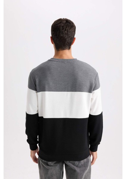 Regular Fit Bisiklet Yaka Jakarlı Sweatshirt D5393AX24AU