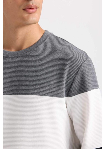 Regular Fit Bisiklet Yaka Jakarlı Sweatshirt D5393AX24AU