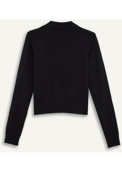 Regular Fit Polo Yaka Basic Düz Triko Kazak D6259Ax25Sp