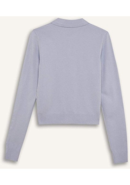 Regular Fit Polo Yaka Basic Düz Triko Kazak D6259Ax25Sp