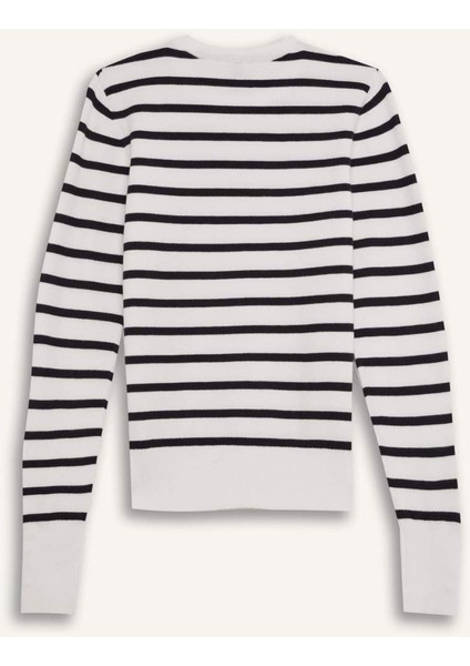 Regular Fit Çizgili Bisiklet Yaka Triko Kazak