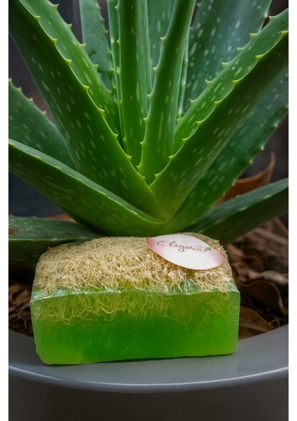 Cildinize Aşk Katan Aloe Vera Kabak Lifli Sabun