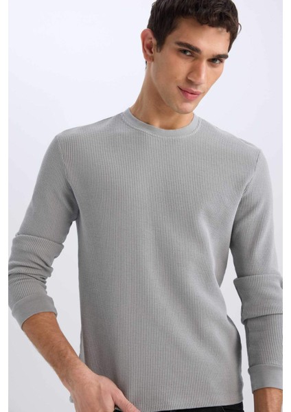 Boxy Fit Bisiklet Yaka Pamuklu Basic Düz Kısa Kollu Tişört D7504AX25SP