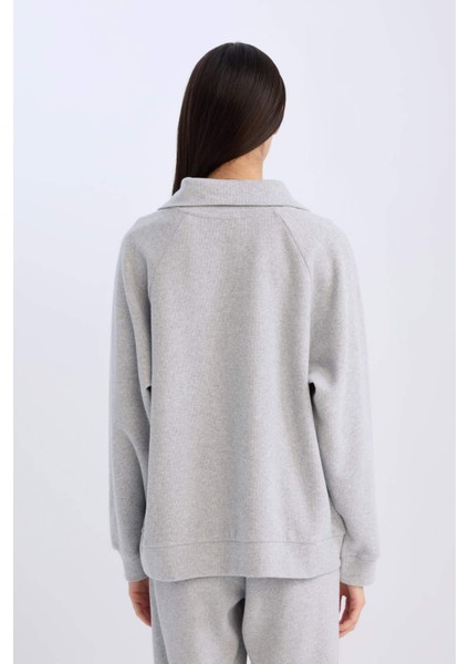 Regular Fit Yarım Fermuarlı Dik Yaka Basic Düz Sweatshirt D9009AX24WN