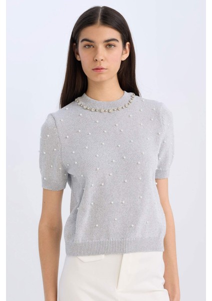 Regular Fit Taşlı Bisiklet Yaka Basic Düz Triko Kazak D8520AX24WN