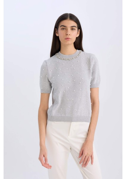 Regular Fit Taşlı Bisiklet Yaka Basic Düz Triko Kazak D8520AX24WN