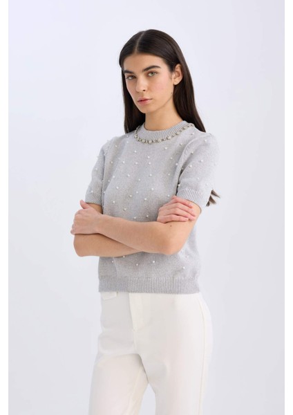 Regular Fit Taşlı Bisiklet Yaka Basic Düz Triko Kazak D8520AX24WN