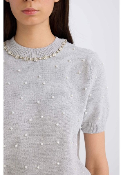 Regular Fit Taşlı Bisiklet Yaka Basic Düz Triko Kazak D8520AX24WN