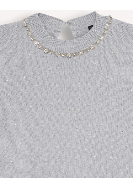 Regular Fit Taşlı Bisiklet Yaka Basic Düz Triko Kazak D8520AX24WN