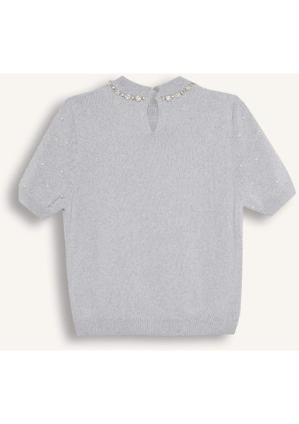 Regular Fit Taşlı Bisiklet Yaka Basic Düz Triko Kazak D8520AX24WN