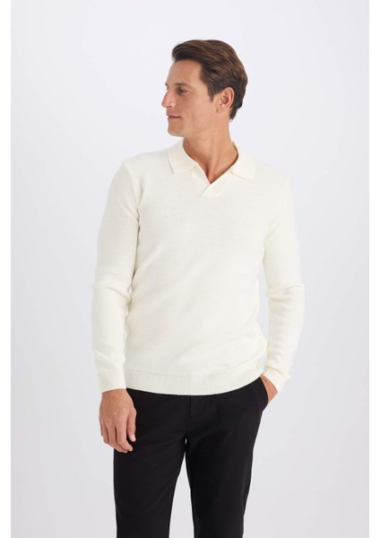 Standart Fit Normal Kesim Polo Yaka Triko Kazak D4046AX24WN