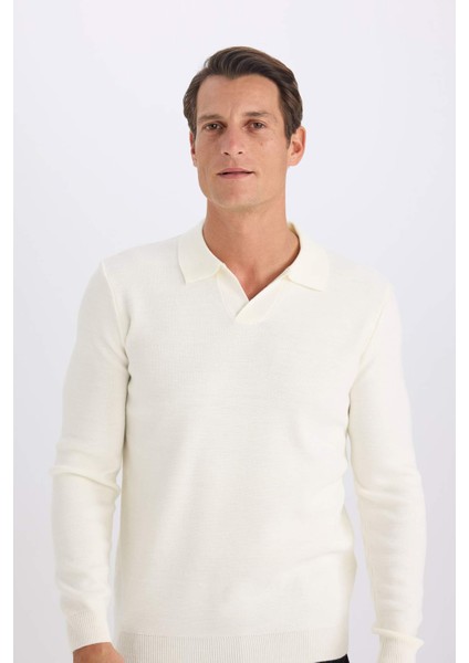 Standart Fit Normal Kesim Polo Yaka Triko Kazak D4046AX24WN