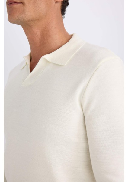 Standart Fit Normal Kesim Polo Yaka Triko Kazak D4046AX24WN