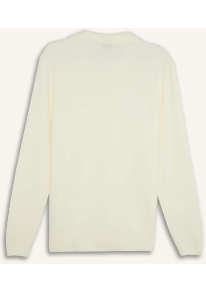 Standart Fit Normal Kesim Polo Yaka Triko Kazak D4046AX24WN