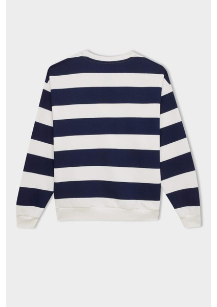 Relax Fit Bisiklet Yaka Çizgili Kalın Sweatshirt A1883AX24AU