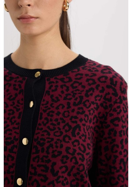Regular Fit Bisiklet Yaka Leopar Desenli Düğmeli Triko Hırka D8510AX24WN