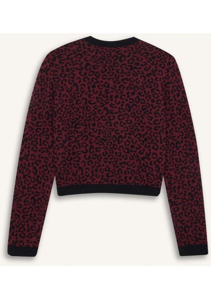 Regular Fit Bisiklet Yaka Leopar Desenli Düğmeli Triko Hırka D8510AX24WN