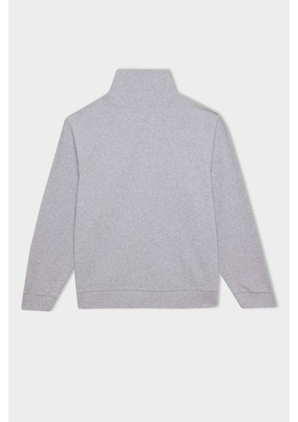 Regular Fit Yarım Fermuarlı Dik Yaka Basic Düz Sweatshirt D9009AX24WN