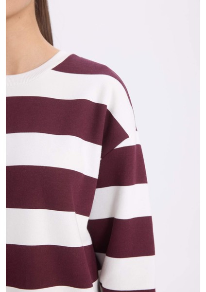 Relax Fit Bisiklet Yaka Çizgili Kalın Sweatshirt A1883AX24AU