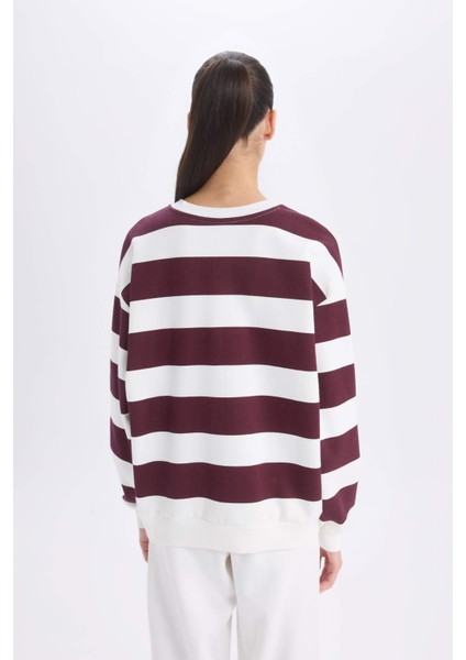 Relax Fit Bisiklet Yaka Çizgili Kalın Sweatshirt A1883AX24AU