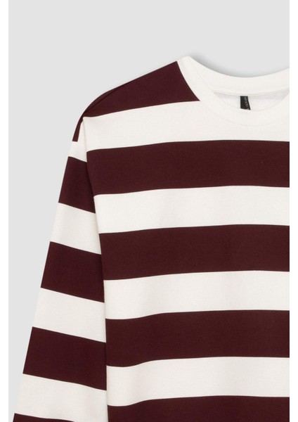 Relax Fit Bisiklet Yaka Çizgili Kalın Sweatshirt A1883AX24AU