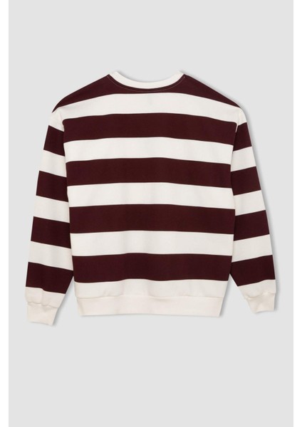 Relax Fit Bisiklet Yaka Çizgili Kalın Sweatshirt A1883AX24AU