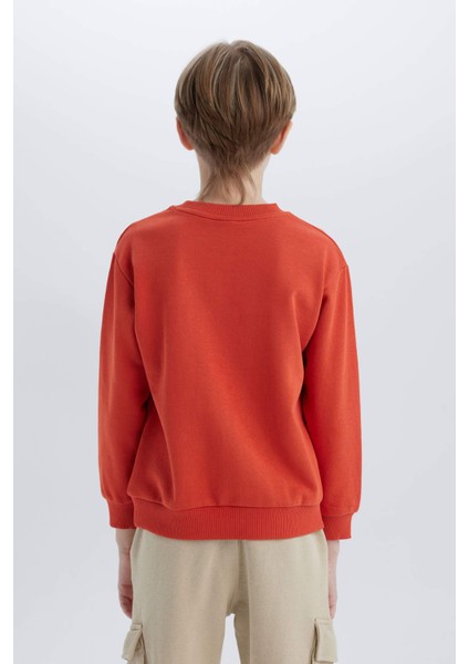 Erkek Çocuk Bisiklet Yaka Baskılı Sweatshirt D7712A825SP