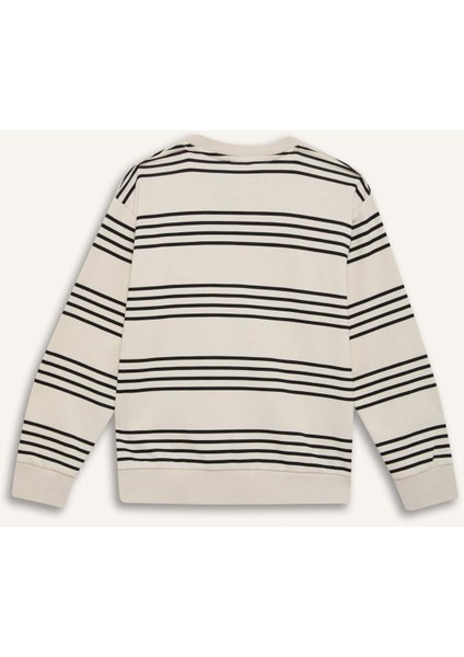 Erkek Çocuk Bisiklet Yaka Çizgili Sweatshirt D7716A825SP