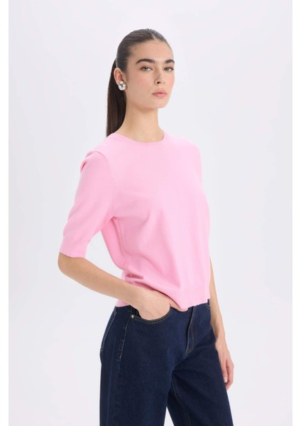 Regular Fit Bisiklet Yaka Basic Düz Kısa Kollu Triko Kazak D6272AX25SM