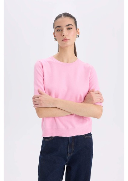 Regular Fit Bisiklet Yaka Basic Düz Kısa Kollu Triko Kazak D6272AX25SM