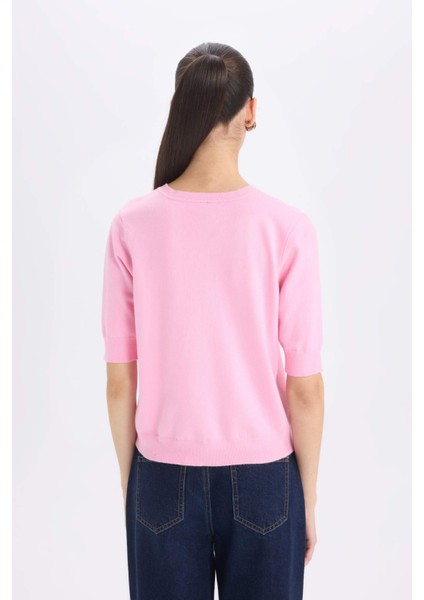 Regular Fit Bisiklet Yaka Basic Düz Kısa Kollu Triko Kazak D6272AX25SM