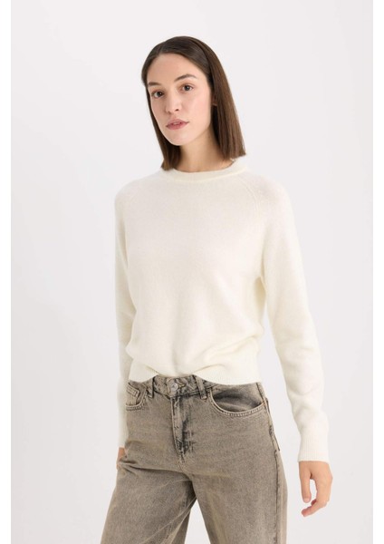 Regular Fit Bisiklet Yaka Basic Düz Soft Touch Yumuşak Triko Kazak D8678AX25SP