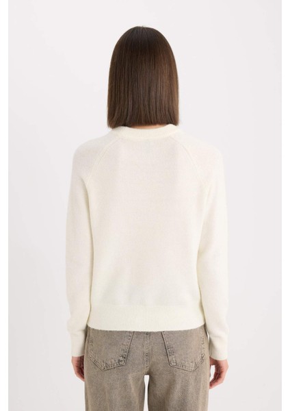 Regular Fit Bisiklet Yaka Basic Düz Soft Touch Yumuşak Triko Kazak D8678AX25SP