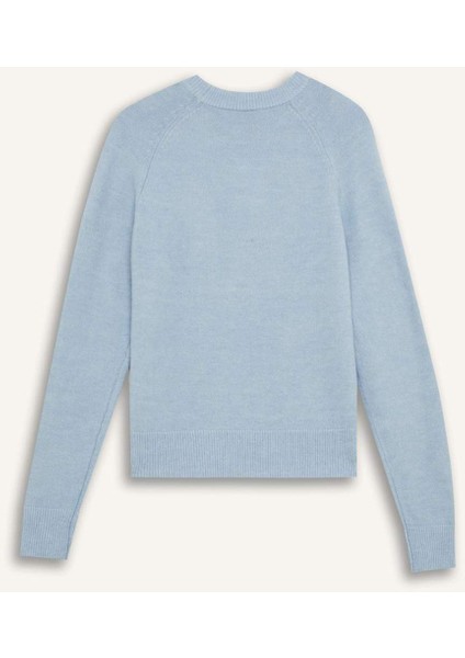 Regular Fit Bisiklet Yaka Basic Düz Soft Touch Yumuşak Triko Kazak D8678AX25SP