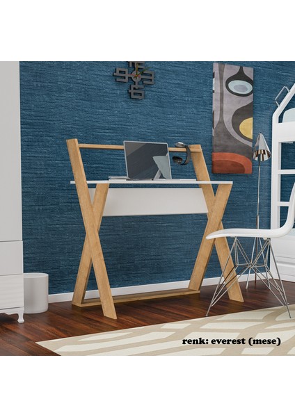 x Çalışma Masası Bilgisayar Masası