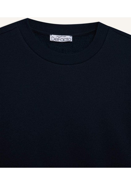Regular Fit Bisiklet Yaka Kalın Basic Düz Sweatshirt D6645AX24WN