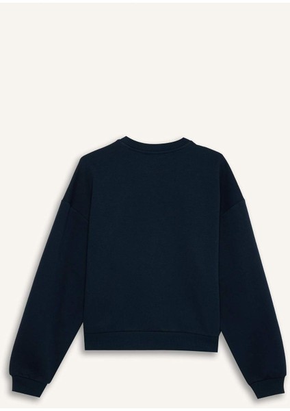 Regular Fit Bisiklet Yaka Kalın Basic Düz Sweatshirt D6645AX24WN