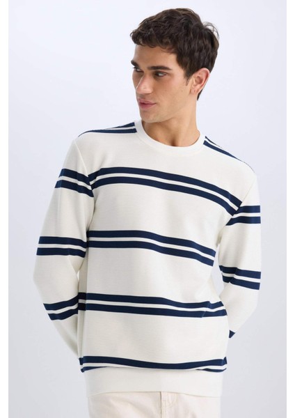 Regular Fit Bisiklet Yaka Dokulu Sweatshirt D7595AX25SP