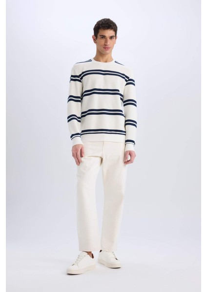 Regular Fit Bisiklet Yaka Dokulu Sweatshirt D7595AX25SP