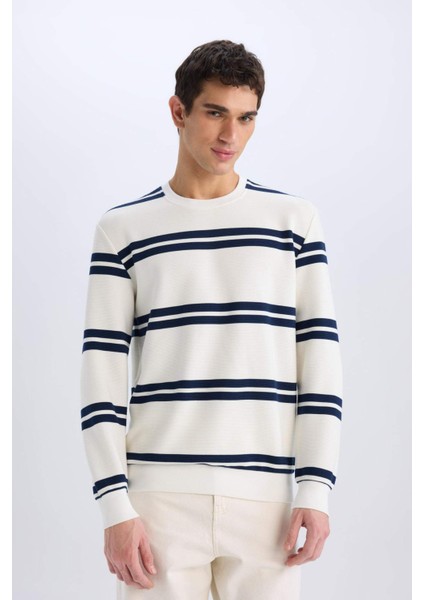 Regular Fit Bisiklet Yaka Dokulu Sweatshirt D7595AX25SP