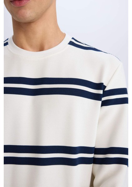 Regular Fit Bisiklet Yaka Dokulu Sweatshirt D7595AX25SP