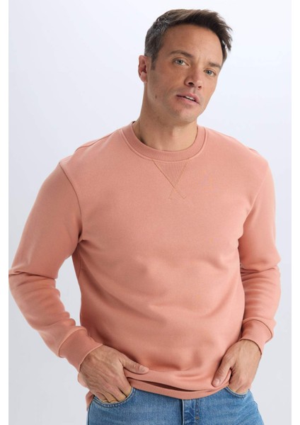 Regular Fit Bisiklet Yaka Kalın Basic Düz Sweatshirt T3777AZ25SP